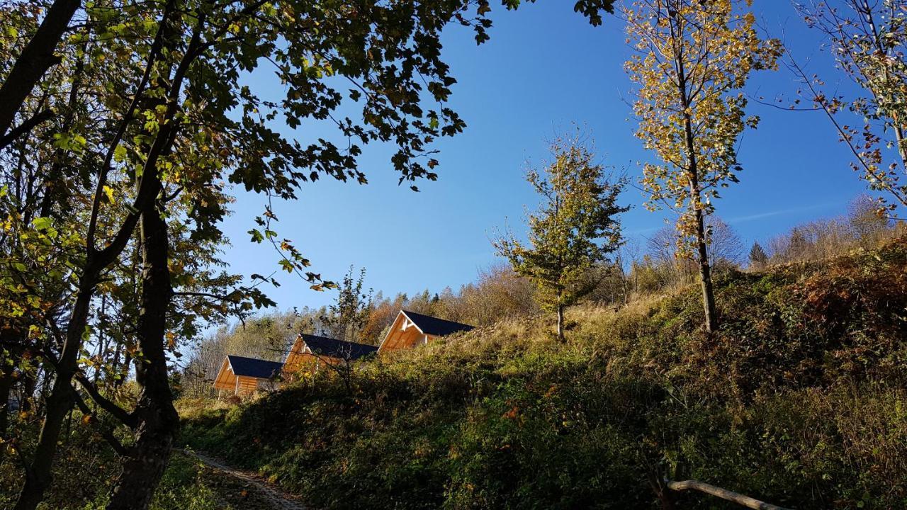 Podbucznik 3 Leskowiec