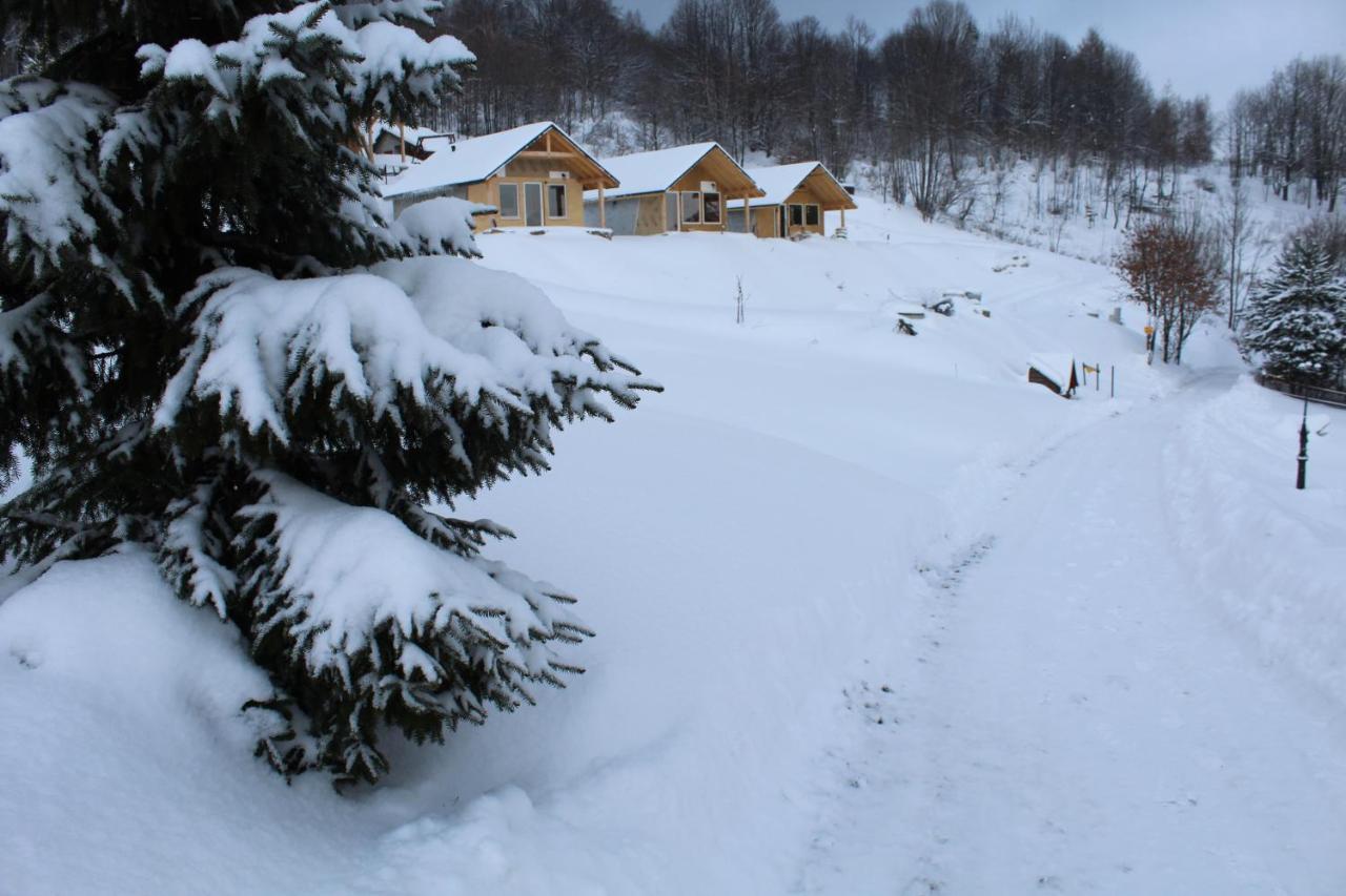 Podbucznik 3 Leskowiec Chalet *
